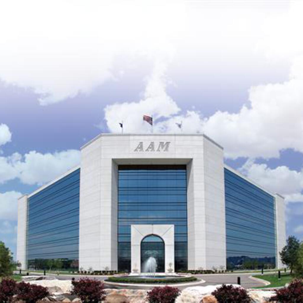 American Axle & Mfg. Inc. (AAM) product image 34